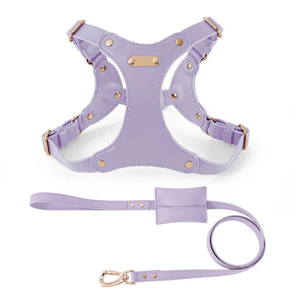 Nieuw Hondentuigje met Lijn – Verstelbaar PU Lederen Tuig voor Puppy’s, Middelgrote en Grote Honden – Voor Wandelingen buitenshuis

Comfortabel en stijlvol hondentuig met bijpassende riem, gemaakt van hoogwaardig PU-lee