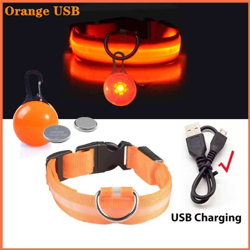 USB Oplaadbare Glowing Halsband met Afneembare LED-Hanger – Luxe, Helder & Veilig voor Kleine Honden en Katten