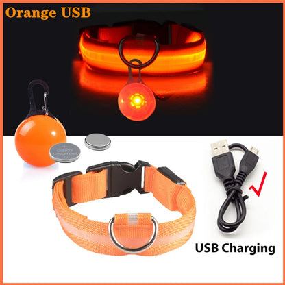 USB Oplaadbare Glowing Halsband met Afneembare LED-Hanger – Luxe, Helder & Veilig voor Kleine Honden en Katten