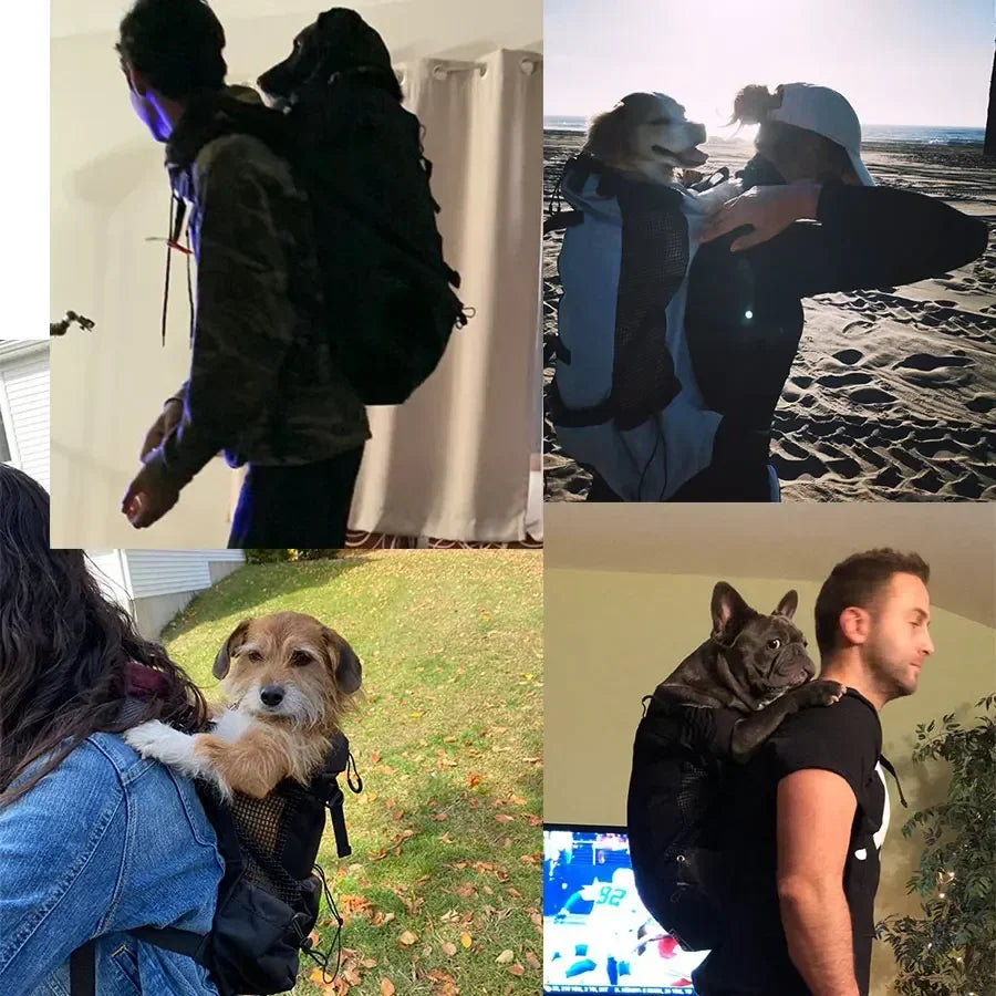 Ademende Hondenrugzak voor Grote Honden – Duurzaam & Verstelbaar