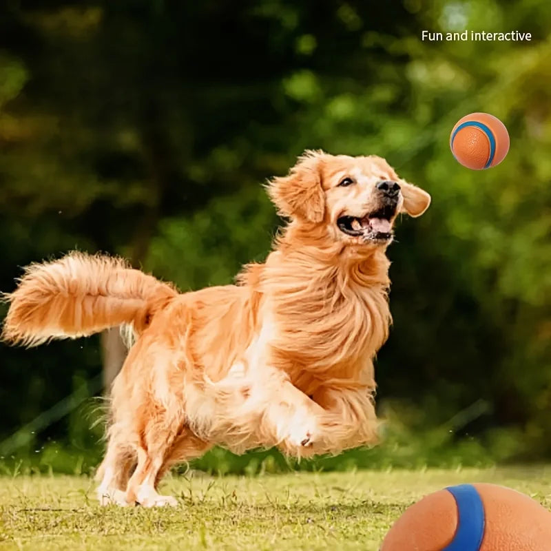 Onverwoestbare Hondenbal – Extra Sterk voor Agressieve Kauwers  Speel-, Ren- & Tandreinigingsbal | Perfect voor Apporteren & Actief Spel