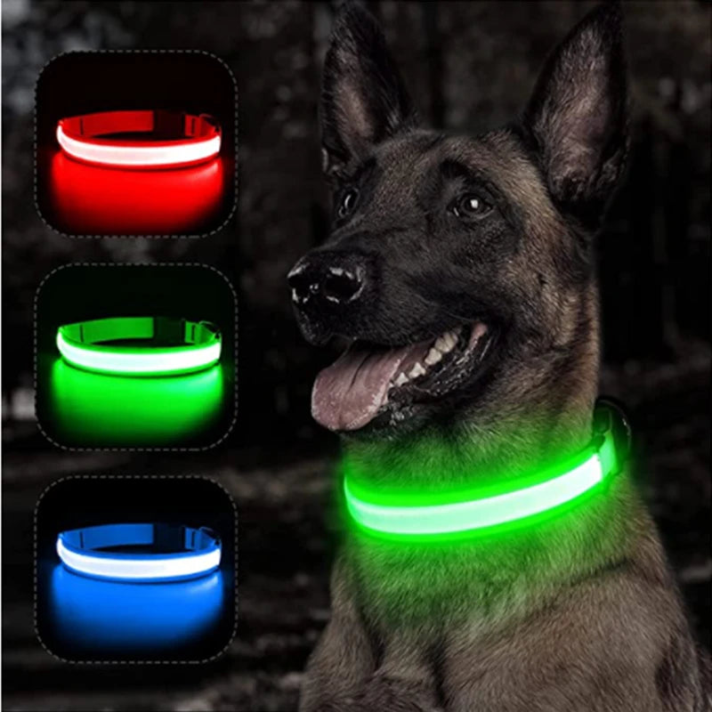 USB Oplaadbare Glowing Halsband met Afneembare LED-Hanger – Luxe, Helder & Veilig voor Kleine Honden en Katten