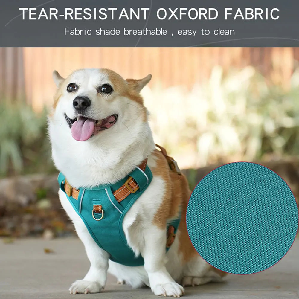 HP308--Reflective Durable Pet Harness,Adjustable webbing make the harness Well-fitting for dogs.Soft mesh  under the fabric.