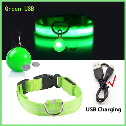 USB Oplaadbare Glowing Halsband met Afneembare LED-Hanger – Luxe, Helder & Veilig voor Kleine Honden en Katten