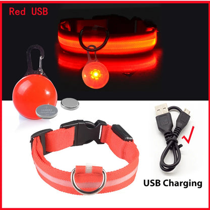 USB Oplaadbare Glowing Halsband met Afneembare LED-Hanger – Luxe, Helder & Veilig voor Kleine Honden en Katten