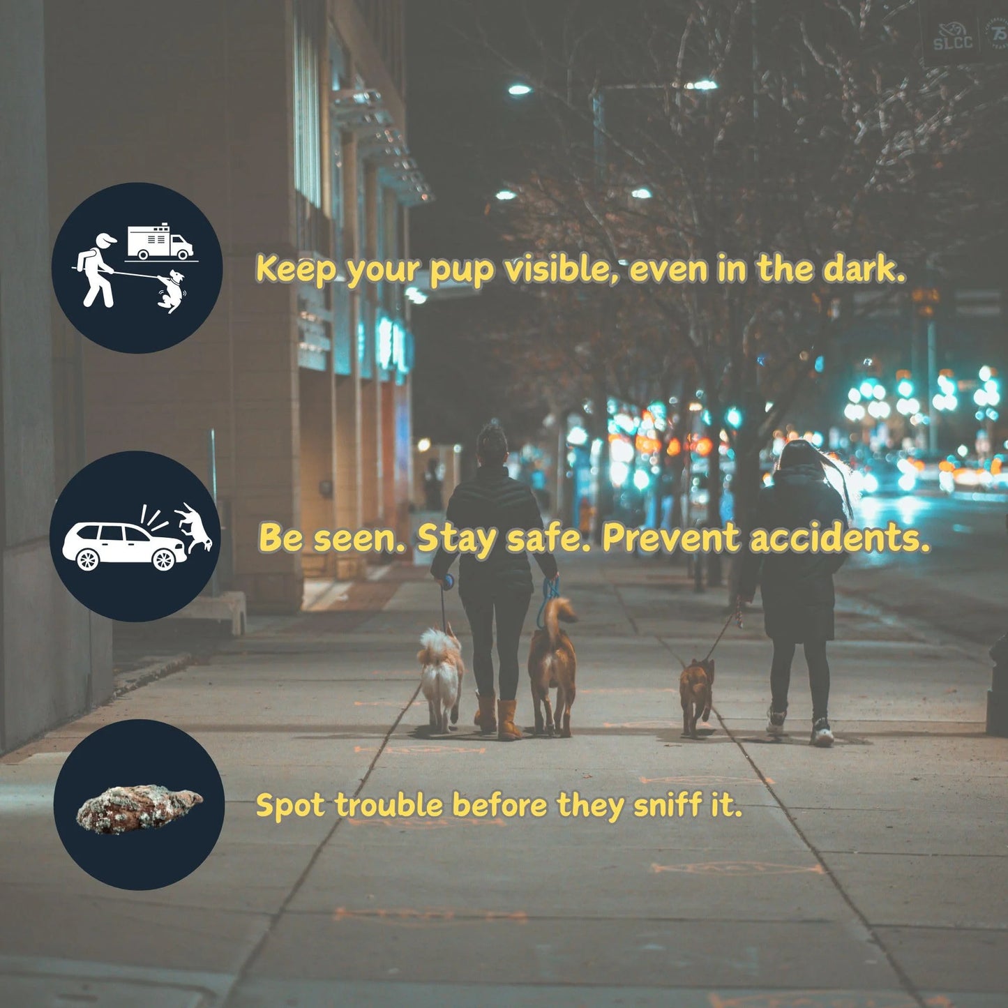 Uitschuifbare Verlichte Hondenriem – Perfect voor Avondwandelingen!