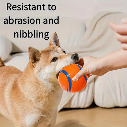 Onverwoestbare Hondenbal – Extra Sterk voor Agressieve Kauwers  Speel-, Ren- & Tandreinigingsbal | Perfect voor Apporteren & Actief Spel