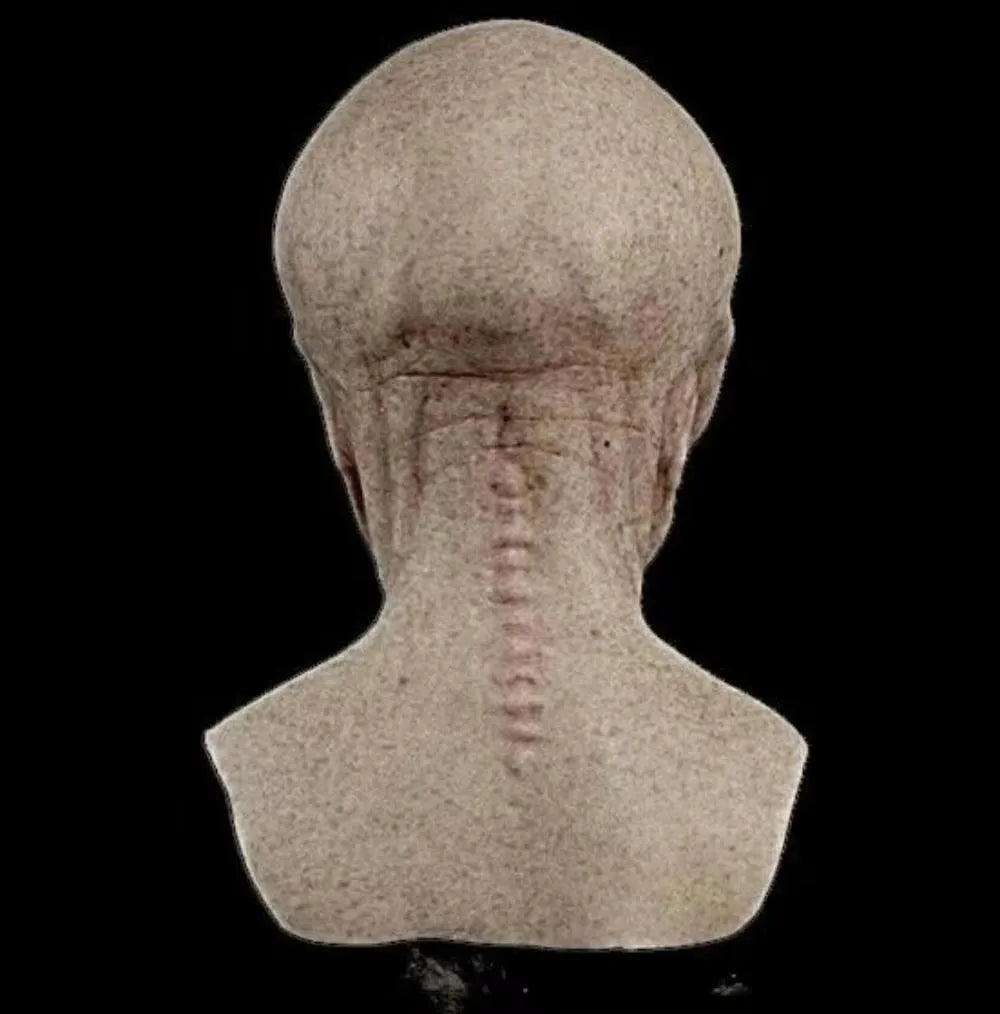 Halloween Alien Masker – Horror Volledig Gezicht Latex Helm | Faceless Creepy Alien Cosplay & Feestaccessoire

Stap in de wereld van het onbekende met dit angstaanjagende, volledig gezicht latex masker van een griezelige, g