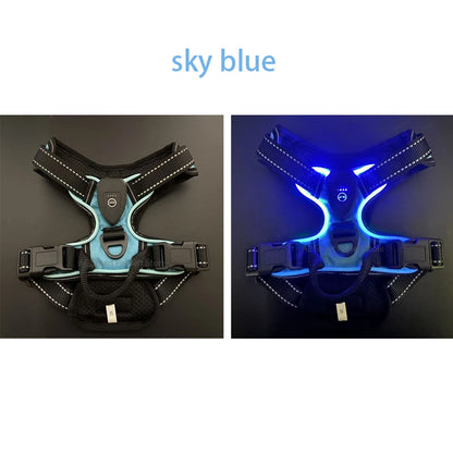 LED Lichtgevend No Pull Hondenharnas – Verstelbaar, Oplaadbaar – Huisdier Vest Harnas voor Kleine, Middelgrote en Grote Honden – Voor Buitenwandelen