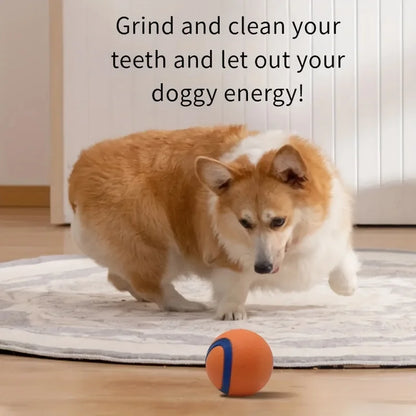Onverwoestbare Hondenbal – Extra Sterk voor Agressieve Kauwers  Speel-, Ren- & Tandreinigingsbal | Perfect voor Apporteren & Actief Spel