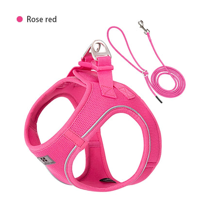 Hondentuigje met Lijn – Verstelbaar en Reflecterend – Voor Kleine en Middelgrote Honden
Comfortabel tuigje voor puppy’s, katten, chihuahua’s, yorkies en andere kleine hondenrassen. Ideaal voor wandelingen buitenshuis.