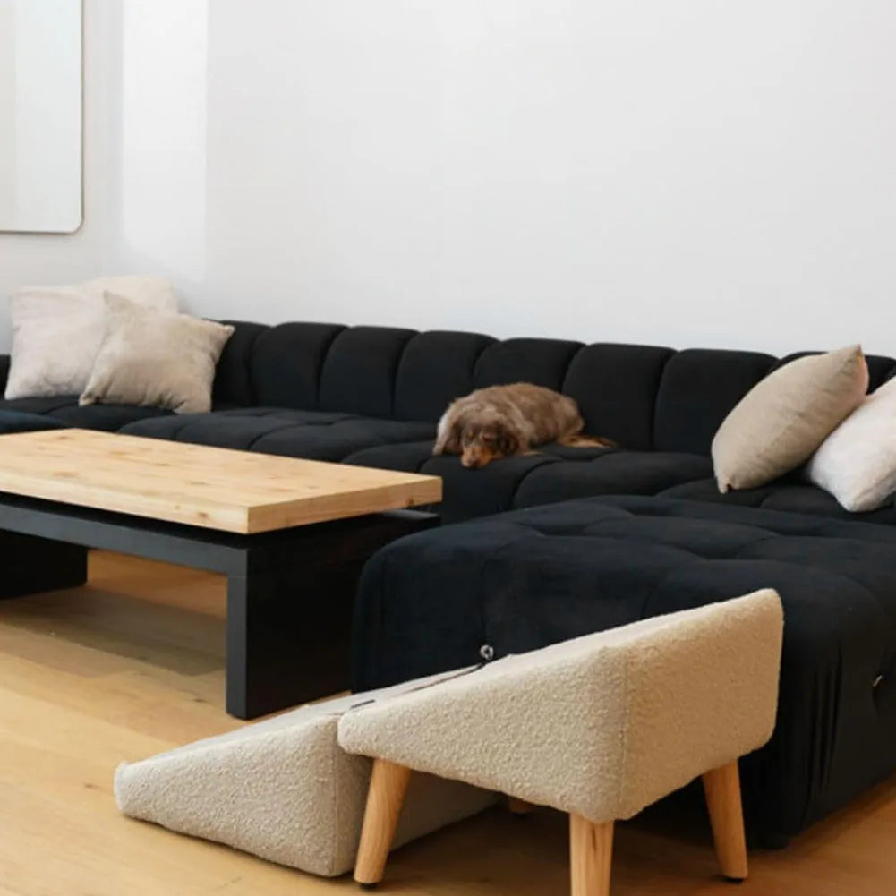 2-in-1 Multifunctionele Hondenloopplank & Trap – Opvouwbaar, Antislip & Geschikt voor Honden en Katten