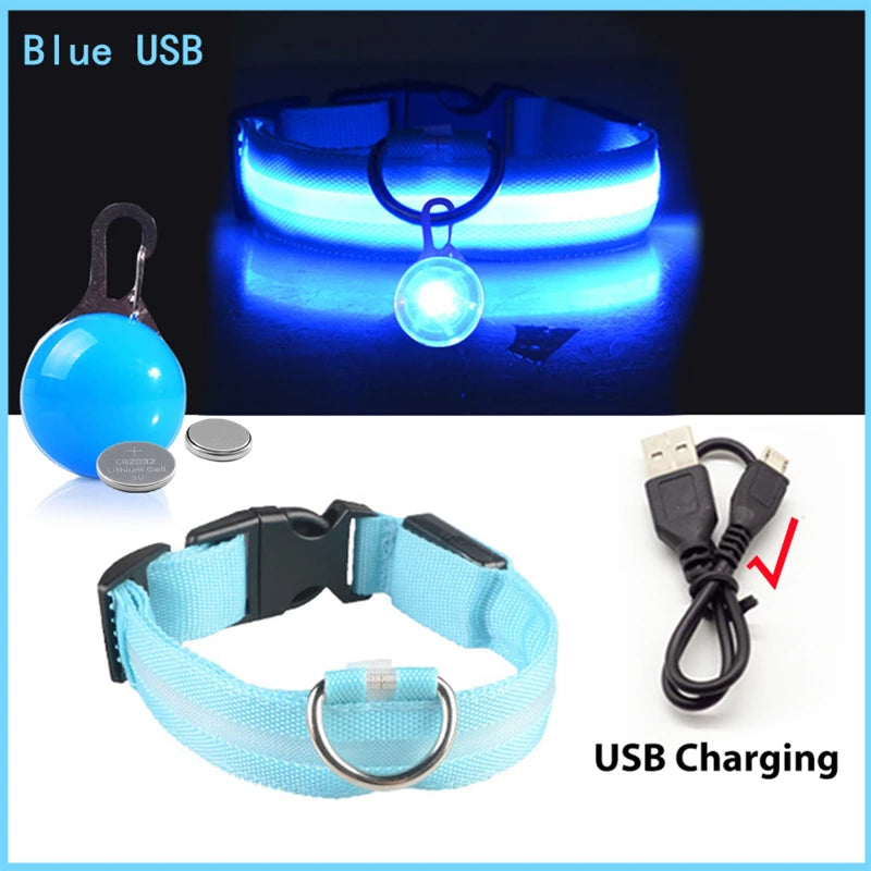 USB Oplaadbare Glowing Halsband met Afneembare LED-Hanger – Luxe, Helder & Veilig voor Kleine Honden en Katten