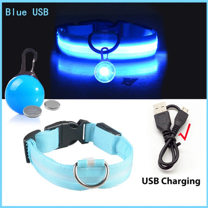USB Oplaadbare Glowing Halsband met Afneembare LED-Hanger – Luxe, Helder & Veilig voor Kleine Honden en Katten