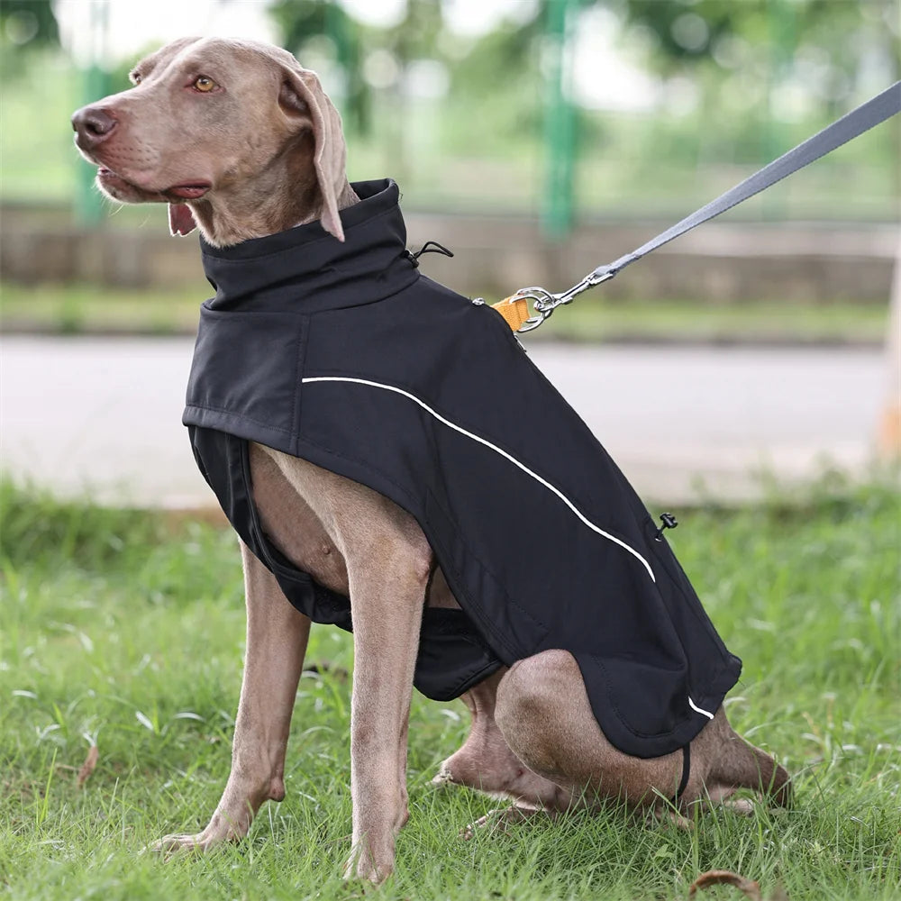 Waterdichte Hondenjas voor Grote Honden – Flexibel, Warm & Reflecterend
Softshell Buitenjas met Zachte Fleece Voering
