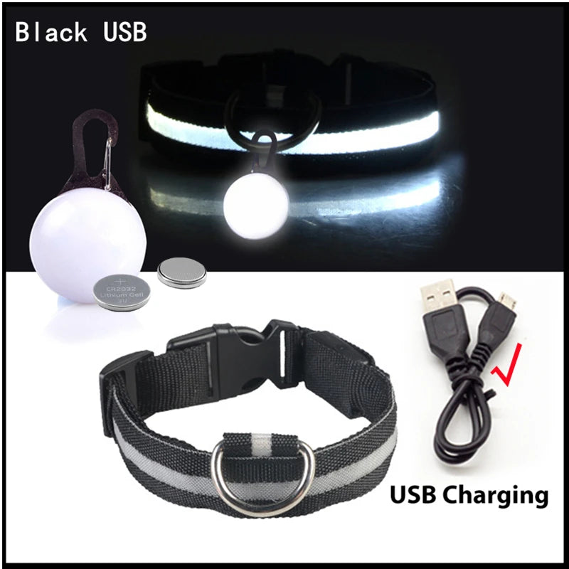 USB Oplaadbare Glowing Halsband met Afneembare LED-Hanger – Luxe, Helder & Veilig voor Kleine Honden en Katten