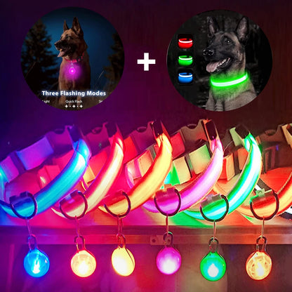 USB Oplaadbare Glowing Halsband met Afneembare LED-Hanger – Luxe, Helder & Veilig voor Kleine Honden en Katten